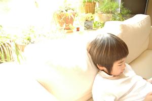 高級リビングテーブルが通販で買える