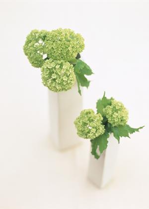 中古のカッペリーニの査定を依頼するなら