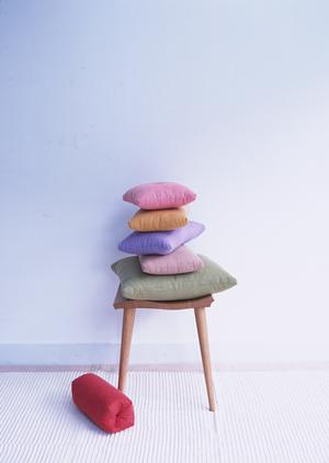 オフィス向けの観葉植物レンタル