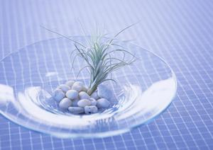 部屋にシーリングファンを付けたい方に