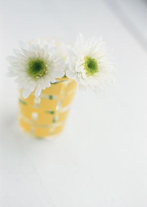 景色を眺めながらお食事して貰えます